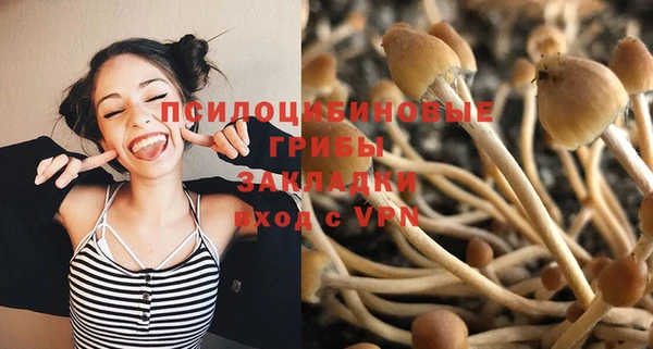 прущие крисы Дмитровск